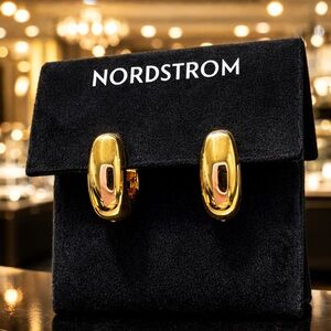 🌸NWT 14K Gold-plated earrings nickel free Nordstrom